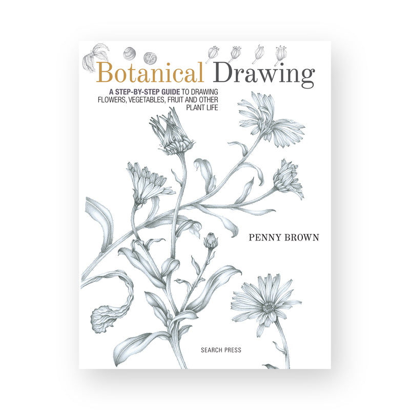 Botanical Drawing by Penny Brown