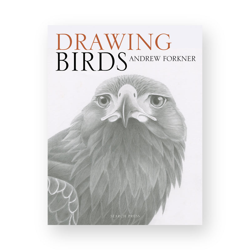 Drawing Birds by Andrew Forkner