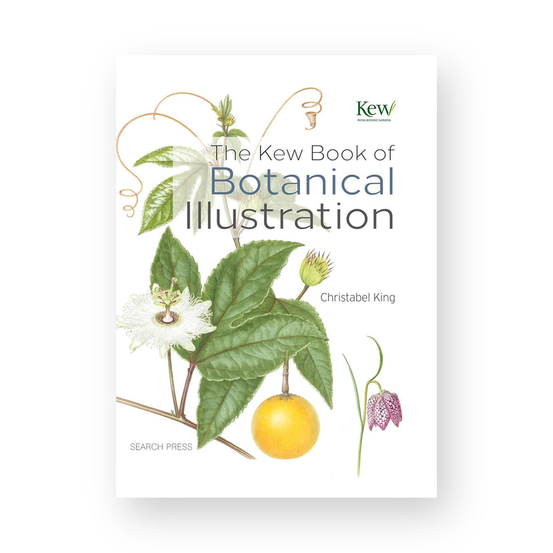 The Kew Book of Botanical Illustration by Christabel King (Hardback)