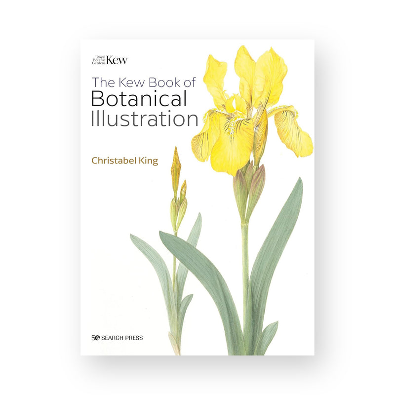 The Kew Book of Botanical Illustration by Christabel King (Paperback)