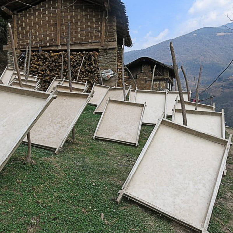 Khadi Handmade Nepalese Lokta Paper - Single Sheets