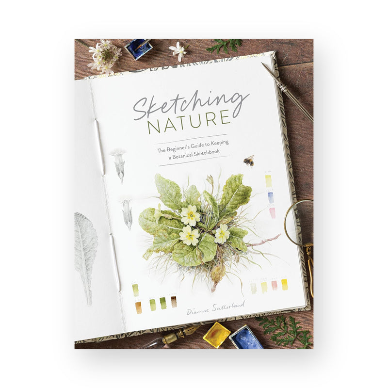 Sketching Nature by Dianne Sutherland