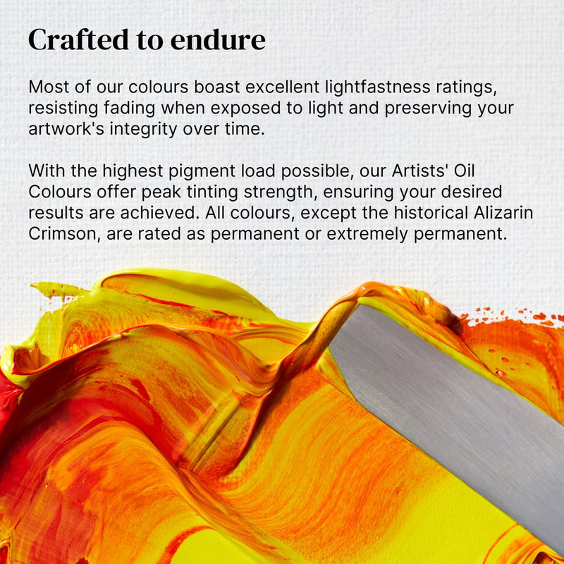 Winsor & Newton Artists Oil Colour Paint 200ml