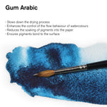 Winsor & Newton Gum Arabic (75ml) (For Watercolour)